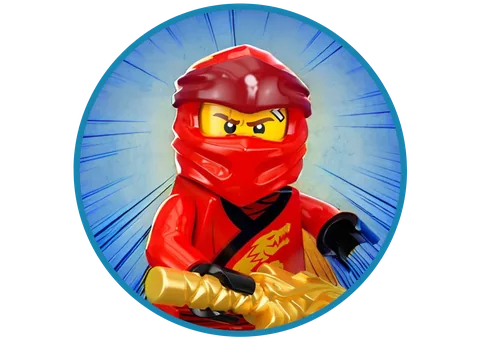 Ninja Party